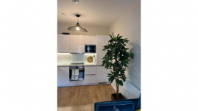 Fantastic Modern 1 Bedroom Flat in Lambeth